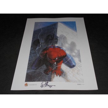 SPIDER-MAN di Dell'Otto - Litografia firmata n. 62/1000 cm 33x48 – Narnia 2007