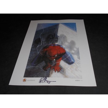 SPIDER-MAN di Dell'Otto - Litografia firmata n. 64/1000 cm 33x48 – Narnia 2007