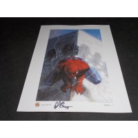 SPIDER-MAN di Dell'Otto - Litografia firmata n. 63/1000 cm 33x48 – Narnia 2007