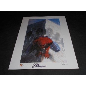 SPIDER-MAN di Dell'Otto - Litografia firmata n. 102/1000 cm 33x48 – Narnia 2007