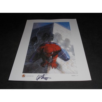 SPIDER-MAN di Dell'Otto - Litografia firmata n. 101/1000 cm 33x48 – Narnia 2007