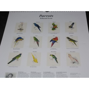 PARROTS di Edward Lear – Calendario 2010 – Taschen