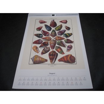 SHELLS di Antoine-Joseph Dezallier D'Artgenville – Calendario 2010 – Taschen